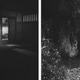 Miyamoto Musashi (Image: Screenshot)